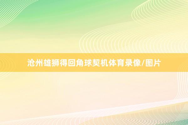 沧州雄狮得回角球契机体育录像/图片
