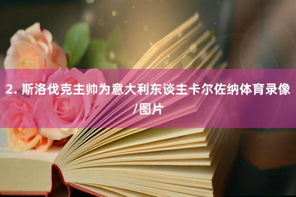 2. 斯洛伐克主帅为意大利东谈主卡尔佐纳体育录像/图片