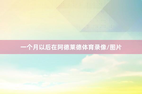 一个月以后在阿德莱德体育录像/图片