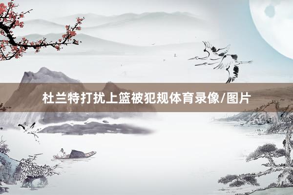 杜兰特打扰上篮被犯规体育录像/图片