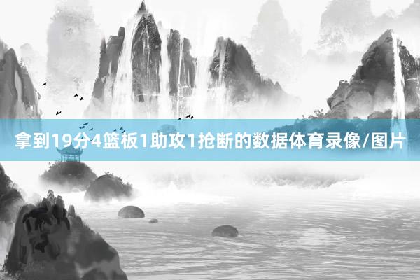 拿到19分4篮板1助攻1抢断的数据体育录像/图片